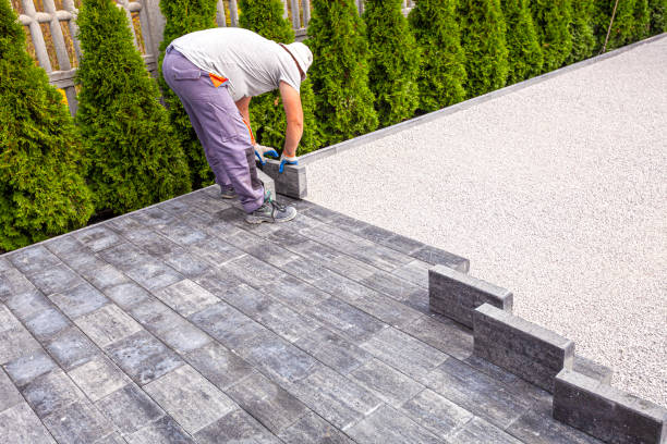 Reasons to Select Us for Your Driveway Paving Requirements in Maxwell, CA