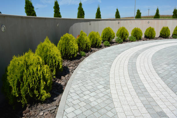 Reliable Maxwell, CA Driveway Pavers Solutions